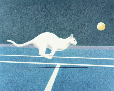 Tennis by Rene Boin