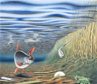 Waterhazard by Rene Boin