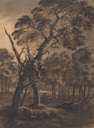 Forest Scene by Rev. William Gilpin
