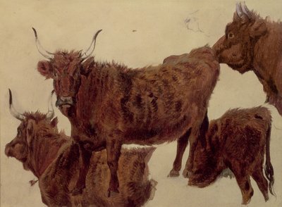 Studies of Highland Cattle by Richard Ansdell