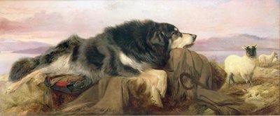 The Shepherd