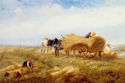Harvesting, Near Boulogne-sur-Mer by Richard Beavis