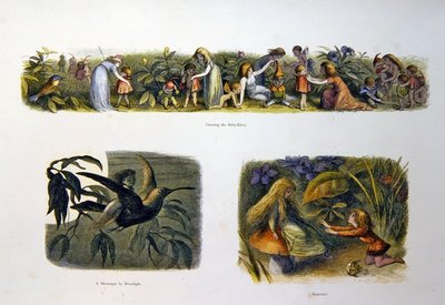 In Fairy Land by Richard Doyle