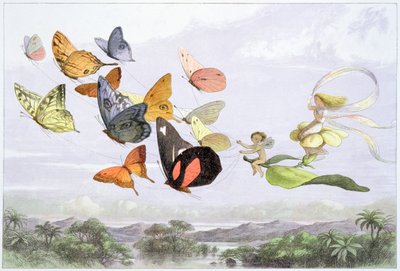 The Fairy Queen