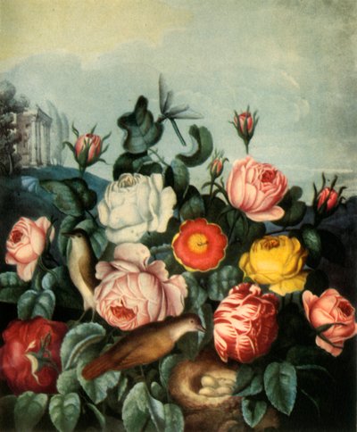 Roses, 1799 by Richard Earlom