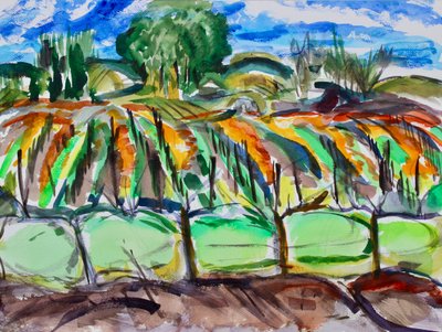 Autumn Vineyards, Napa, 2017 by Richard Fox