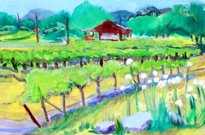 Vineyard on Zinfandel Lane, Napa, 2019 by Richard Fox