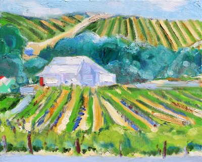 White Barn and Vineyard, Napa, 2019 by Richard Fox