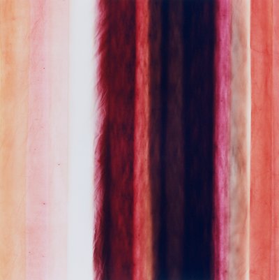 Stripe X, 2005 by Richard Green
