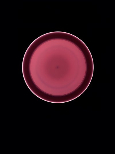 Untitled, 2004 by Richard Green