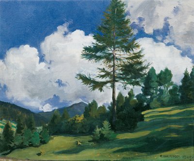 Motif near Toblach by Richard Harlfinger
