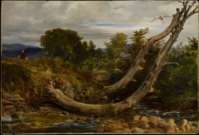 The Heron Disturbed by Richard Redgrave