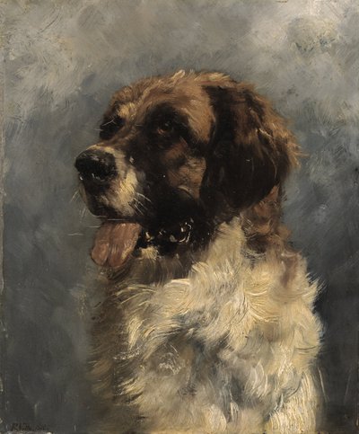 Saint Bernard Dog by Richard Voltz