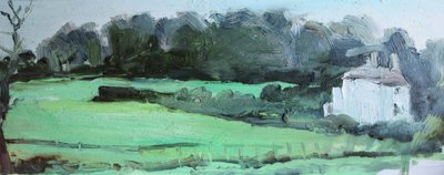 Caldy House and Hedge by Rob D Davies