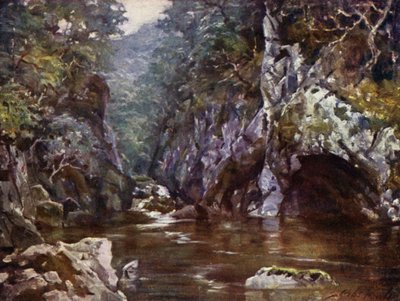 Fairy Glen, Bettws-y-Coed by Robert (after) Fowler