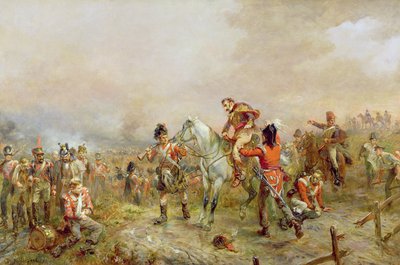 Field of Waterloo by Robert Alexander Hillingford