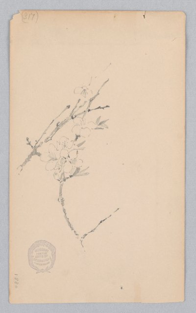 Bough by Robert Frederick Blum