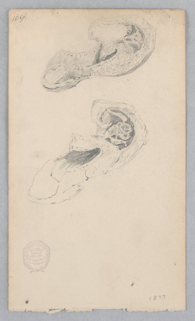 Shoe by Robert Frederick Blum