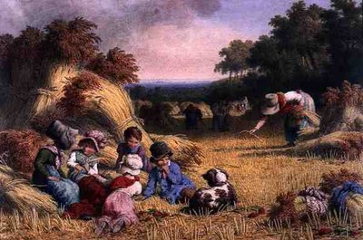 Harvest Field by Robert Hills