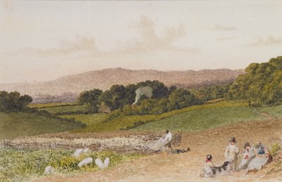 The Turnip Field by Robert Hills