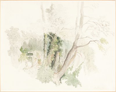 Trees at Beddington by Robert Hills