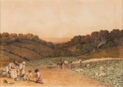 Turnip Field by Robert Hills