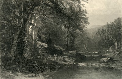 The Adirondack Woods, 1874 by Robert Hinshelwood