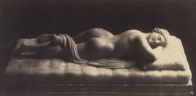 The Hermaphrodite by Robert MacPherson