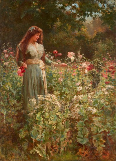 Gathering Poppies by Robert Payton Reid