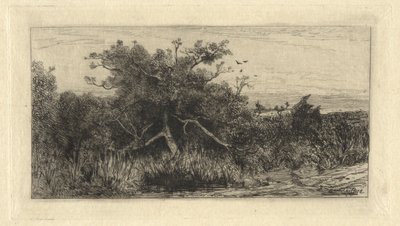 Gnarled Tree by Robert Swain Gifford