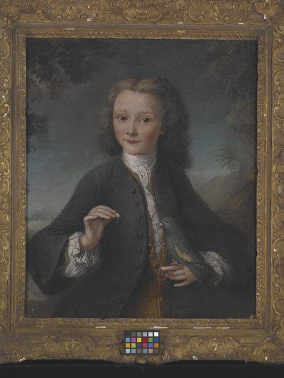 Voltaire at Age 13 by Robert Tournieres