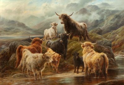 Highland Cattle, 1894 by Robert Watson