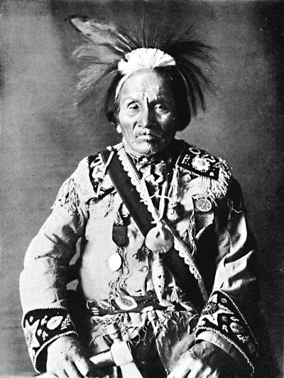 An Iroquois chief by Robert Wilson Shufeldt