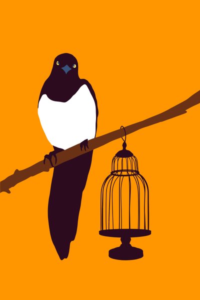Garden Variety Magpie by Roberta Murray