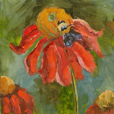 Kismet Coneflower by Roberta Murray