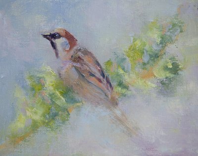 P. Domesticus by Roberta Murray