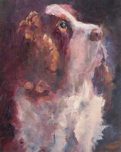 Romeo by Roberta Murray
