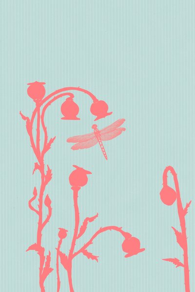 The Poppy by Roberta Murray