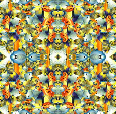 Kaleidoscope Fish Tile by Robyn Parker