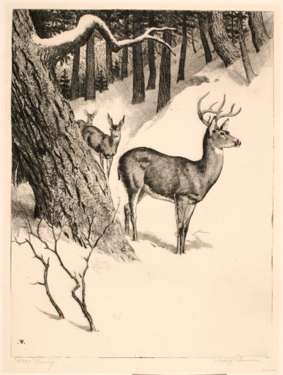 Deer Family by Rodney Thomson