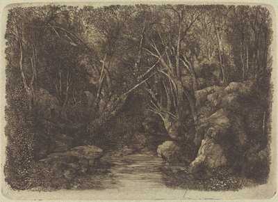 The Brook in the Woods by Rodolphe Bresdin