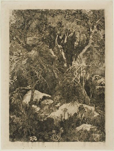 The Forest of Fontainebleau by Rodolphe Bresdin