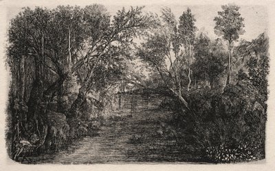 The Stream, 1880 by Rodolphe Bresdin