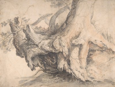 Study of a Tree, ca. 1606-7 by Roelandt Savery