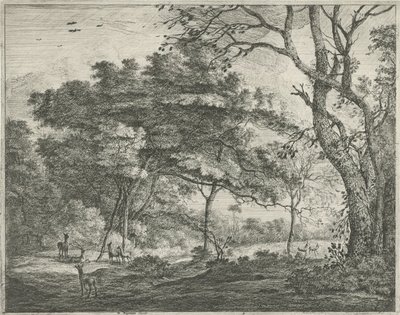 Deer in the Hague Forest by Roelant Roghman