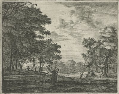 Walker in the Hague Forest by Roelant Roghman