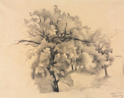 Study of Trees by Roger de La Fresnaye