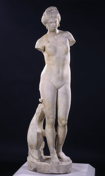 Aphrodite of Cyrene by Roman