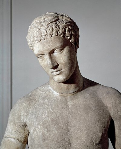 Boxer by Roman