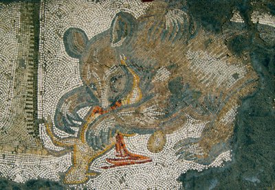 Unknown Image by Roman